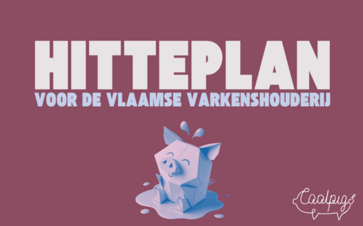 Hitteplan voor de Vlaamse varkenshouderij