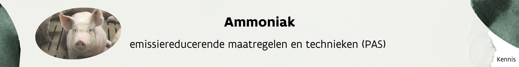 Header_ammoniak