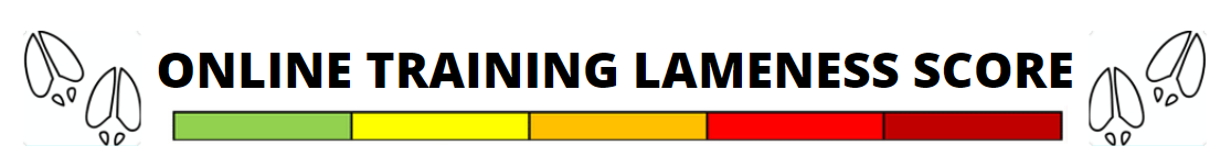 Online training lameness score