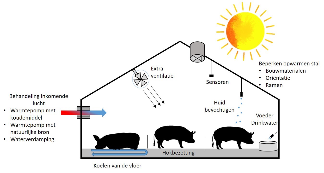 Mogelijke strategieën om hittestress te beperken