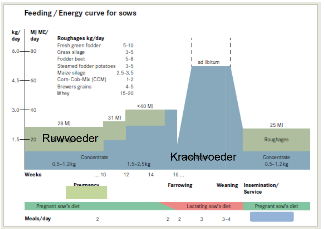 voorbeeld van een mogelijk voederschema voor biologische zeugen