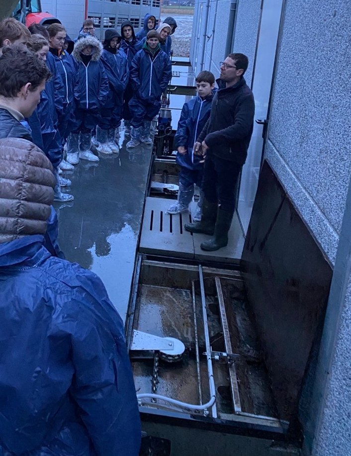 De mestschuif is tijdelijk in rust buiten de stal. Aangespannen door een tandwiel en aangedreven door motor met klein vermogen. De afdekplaten werden tijdelijk verwijderd om het systeem zichtbaar te maken.