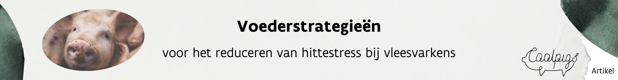 Header_artikel_voederstrategieën