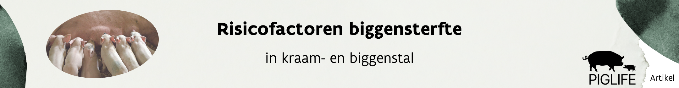 Risicofactoren voor biggensterfte in kraam- en biggenstal