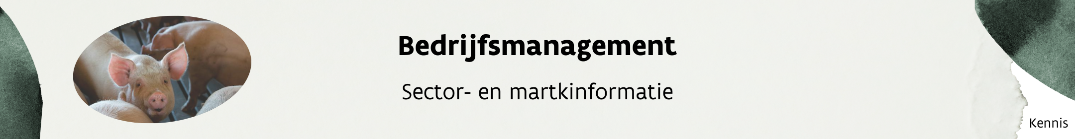 Header_bedrijfsmanagement_sectorinfo