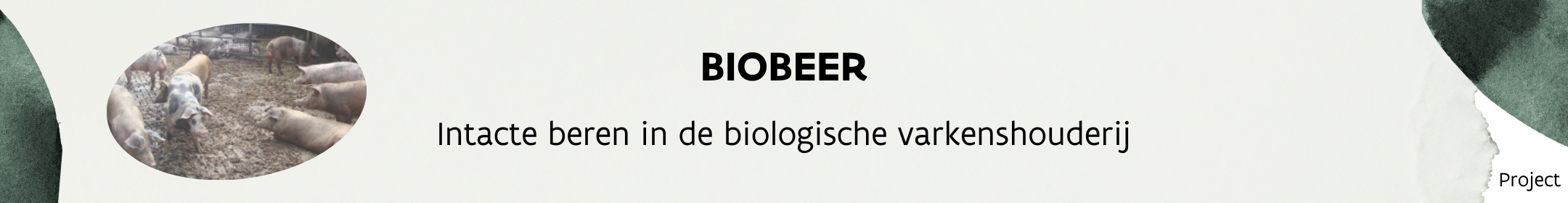 Biobeer_header