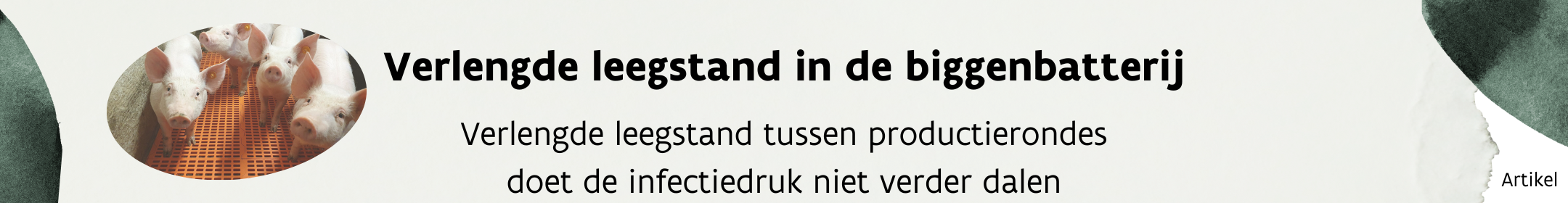 Header_artikel_THI