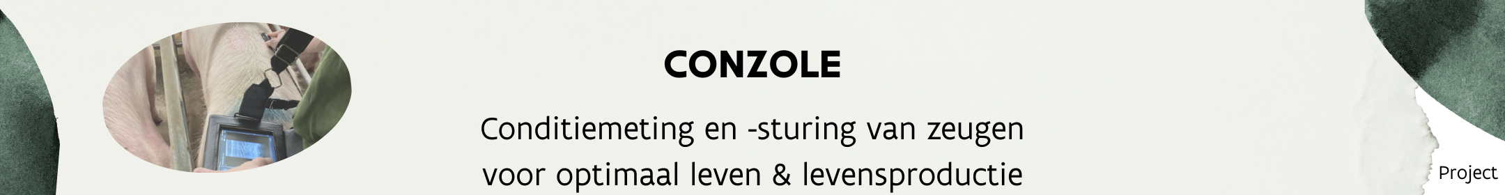 Conzole: conditiemeting en -sturing van zeugen voor optimaal leven en levensproductie