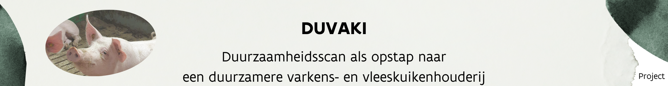 Duvaki