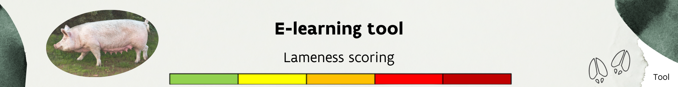Online training lameness score