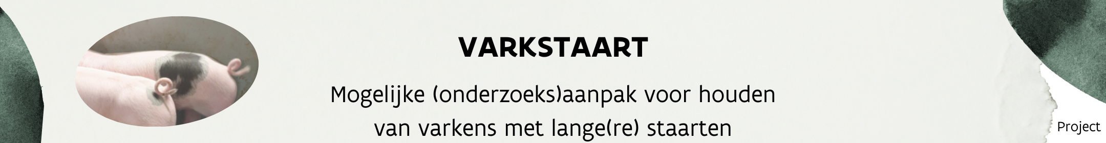 Varkstaart