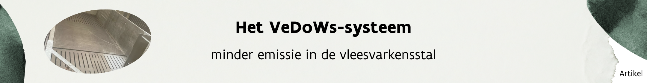 Minder emissie in de vleesvarkensstal met het VeDoWs-systeem