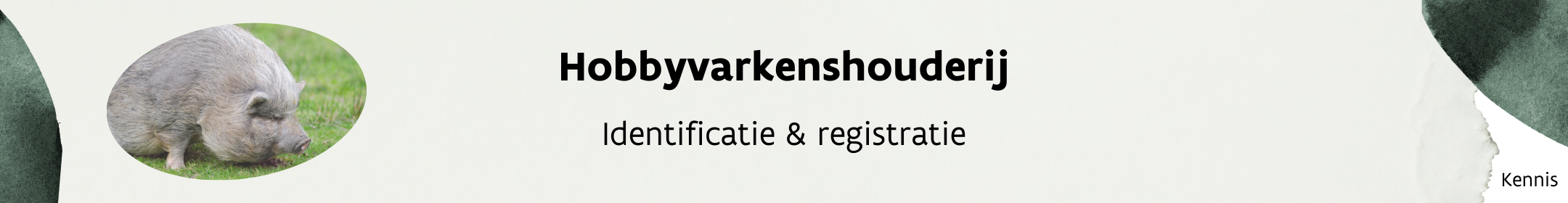 Header_hobbyvarkens_registratie