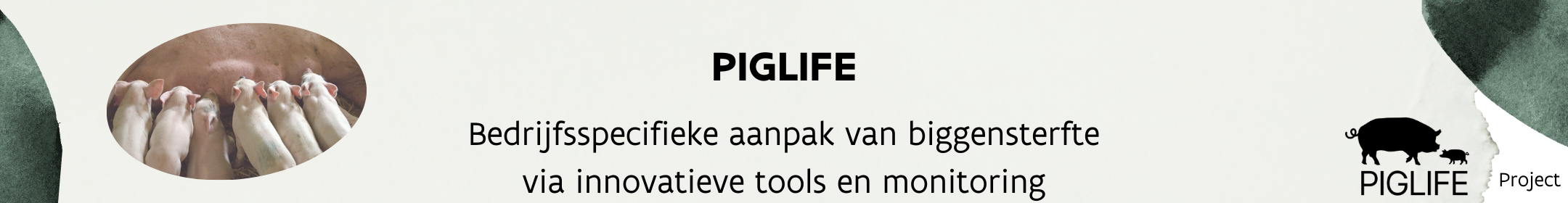 Header_PIGLIFE