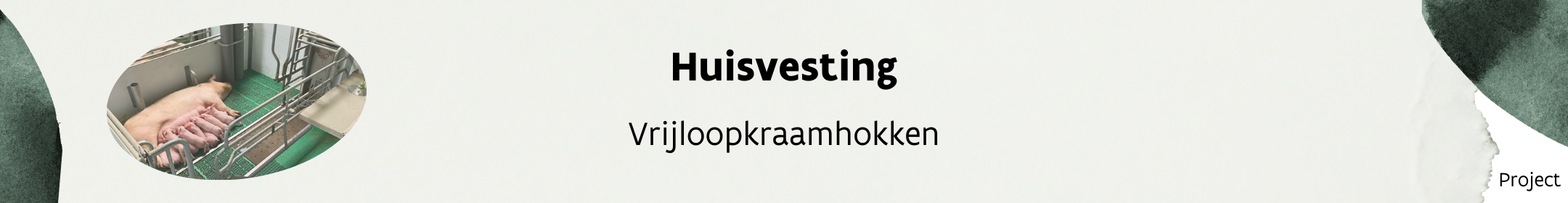 Header_huisvesting_vrijloopkraamhokken