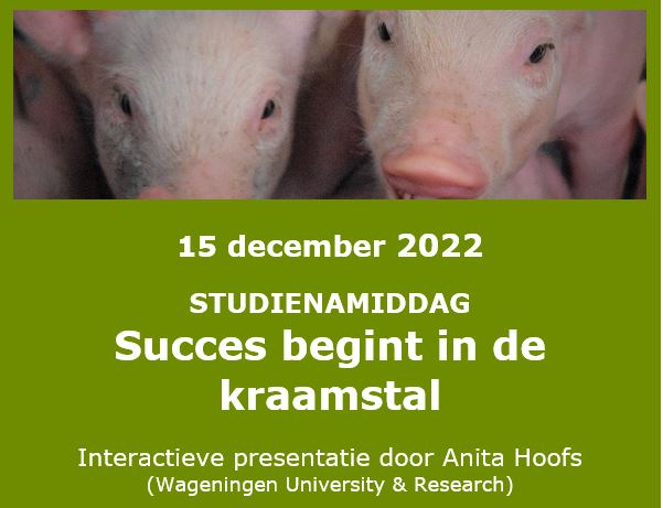 Studienamiddag 'Succes begint in de kraamstal'