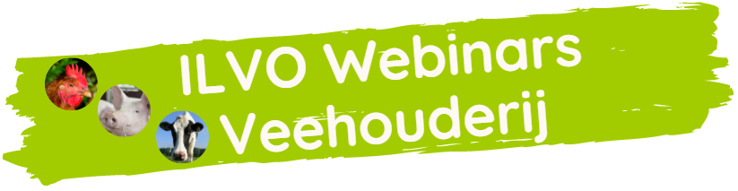 Header Webinars