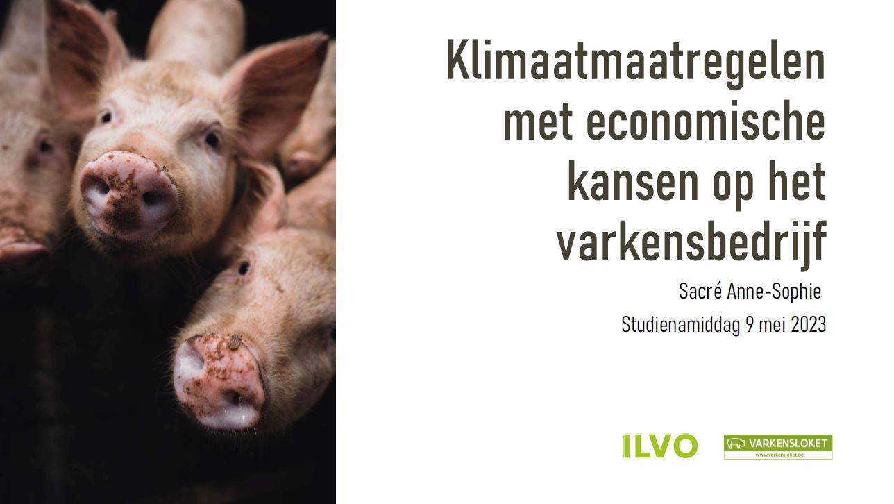 Klimaat