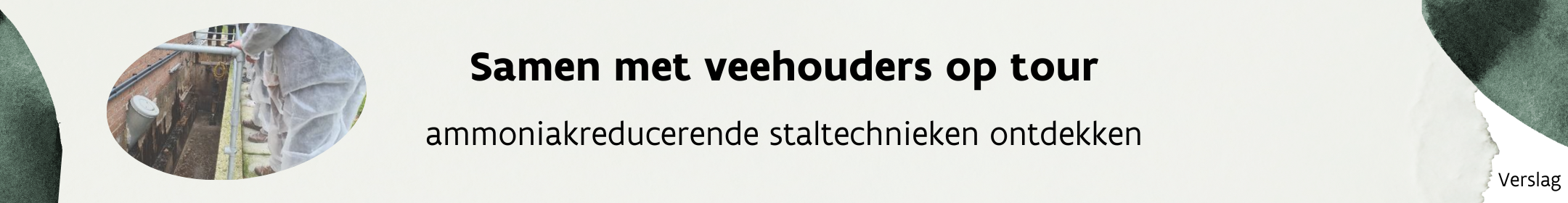 Samen met veehouders op tour - ammoniakreducerende staltechnieken ontdekken