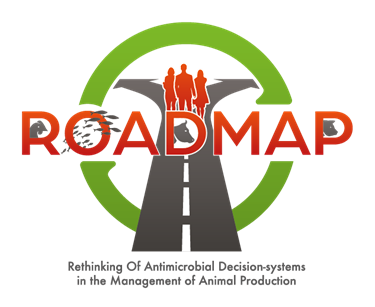 roadmap