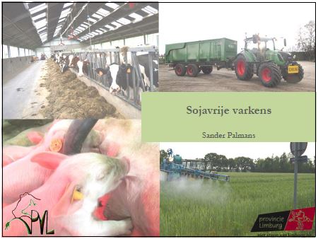 Presentatie sojavrije varkens