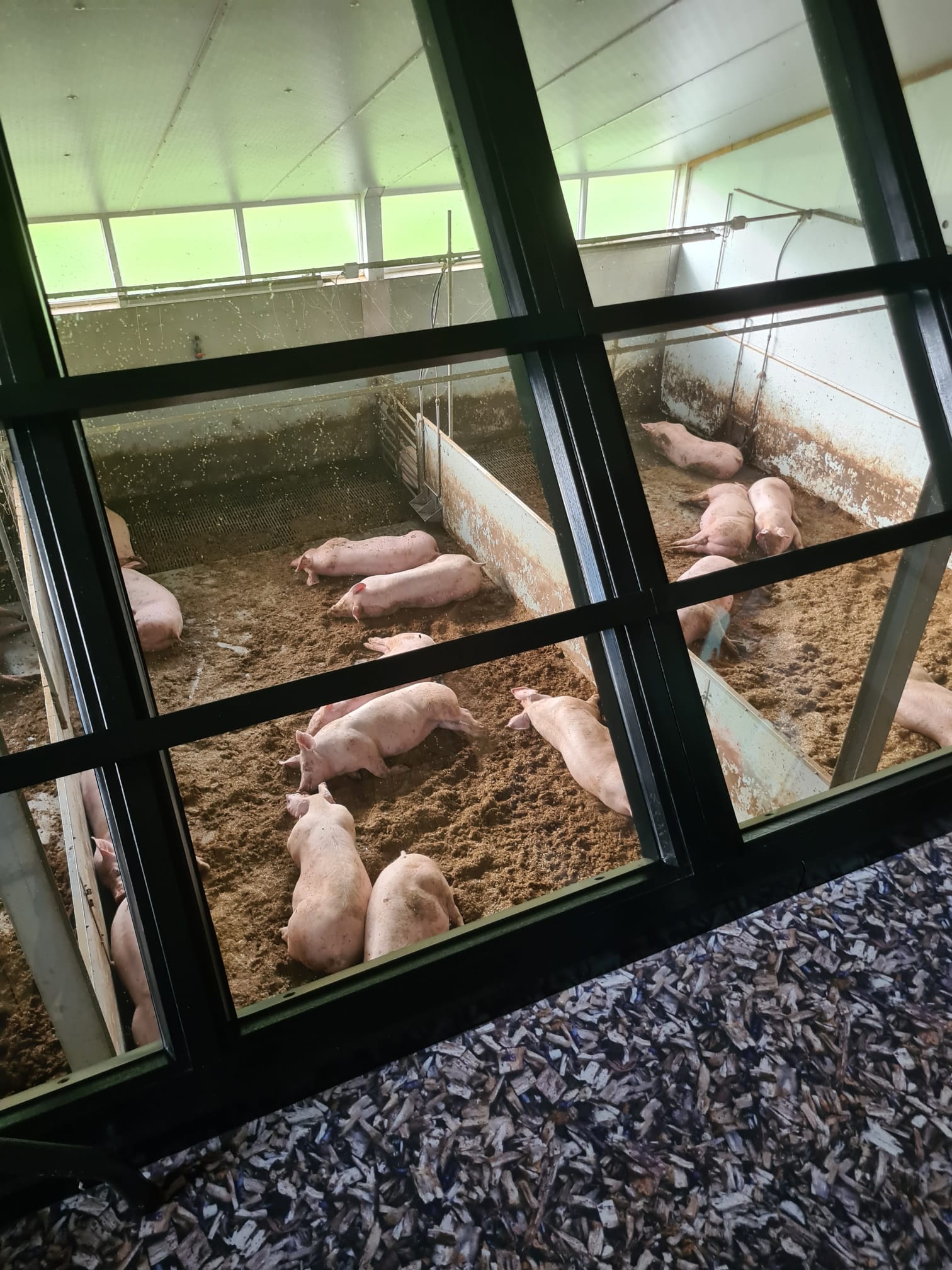 TracVac - mestrobot3