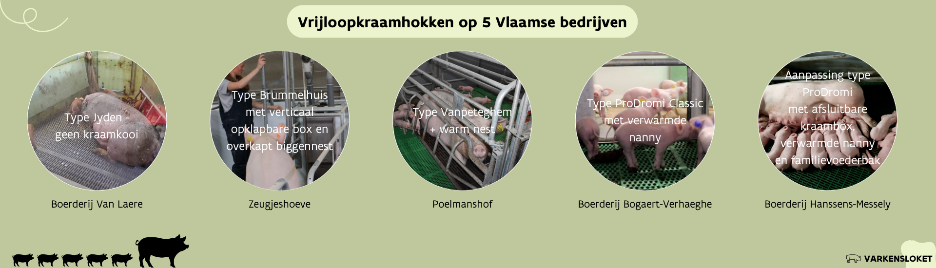 Factsheet_vrijloopkraamhok_overzicht