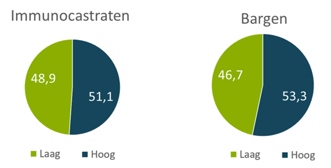 Figuur 2: De voorkeur (%) voor vlees van dieren die gevoederd werden met laag of hoog energetisch voeder was ongeveer gelijk bij zowel de immunocastraten als de bargen