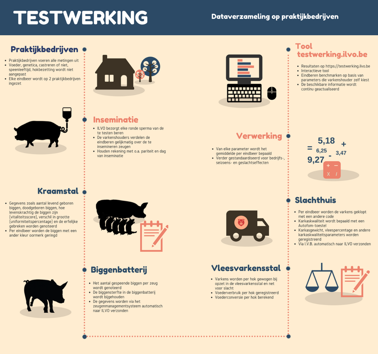 Infographic testwerking