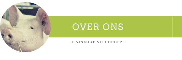 Over ons 